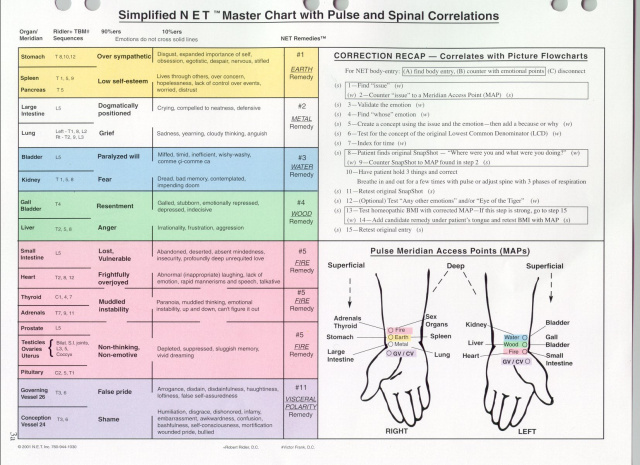 Net Master Chart